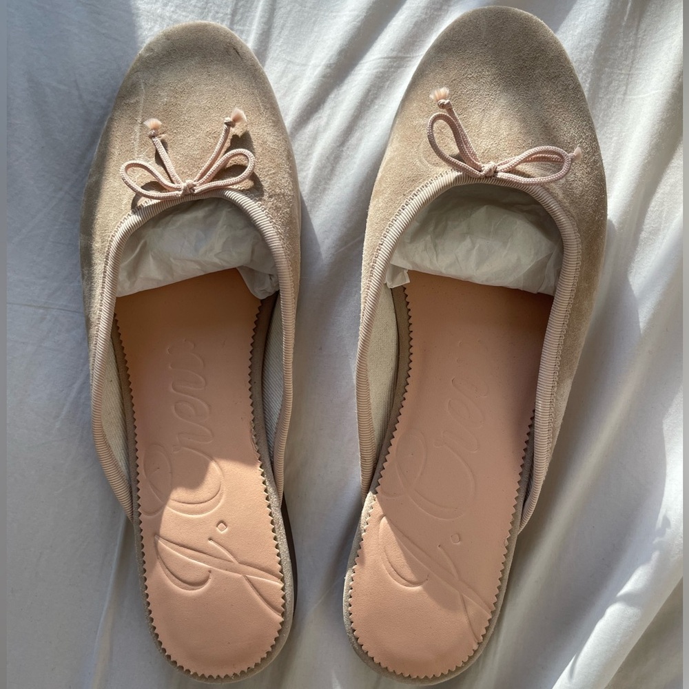 JCREW Ballet Flats - Never Worn